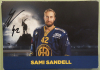 Hockey Club Davos Saison 2018/19 (Konvolut von 13 Autogrammkarten signiert)